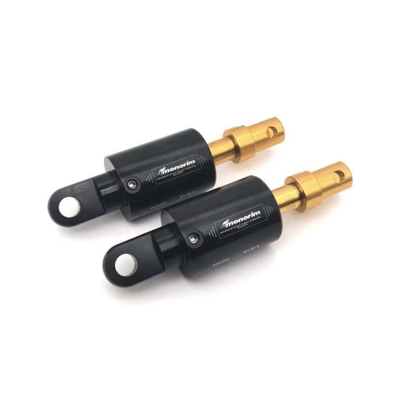 Vazdushni amortisiori Monorim SGR3 Air kit zadno okachvane Segway Max G3 Series  - 1 
Suvmestimost: Monorim SGR3 Air vazdushni a