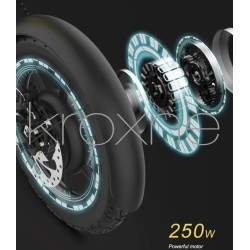 zBike - 250w elektriline jalgratas - 30 kuni 50km autonoomiat  - 12 zBike - 250w elektriline jalgratas - 30 kuni 50km autonoomia