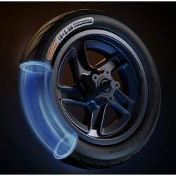 Kompletna felga przednia z tarczą hamulcową do Segwaya F2, F2 Plus, F2 Pro lub podobnego - 10x2,5 cala Segway - Ninebot - 6 Komp