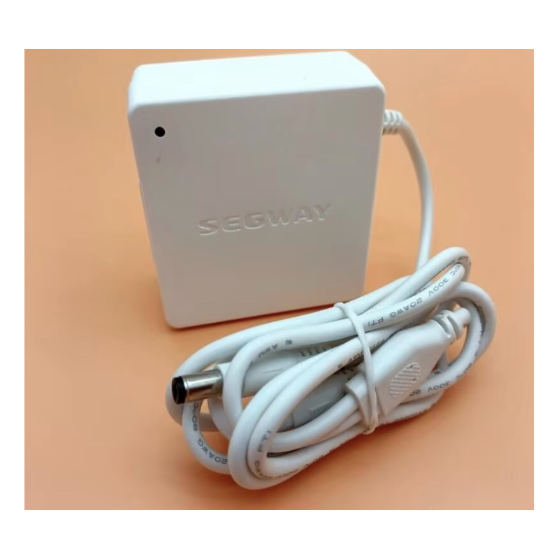 Original intern batterilader til Segway Ninebot W1 Drift - 25v 1.5A  - 1 Original intern batterilader til Segway Ninebot W1 Drif