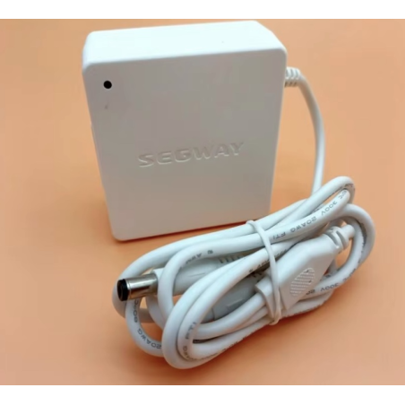 Originálna interná nabíjačka batérií pre Segway Ninebot W1 Drift - 25v 1,5A  - 1 Originálna interná nabíjačka batérií pre Segway